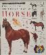 The visual dictionary of the Horse